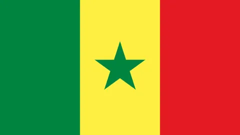 kaiyun·开云（中国）